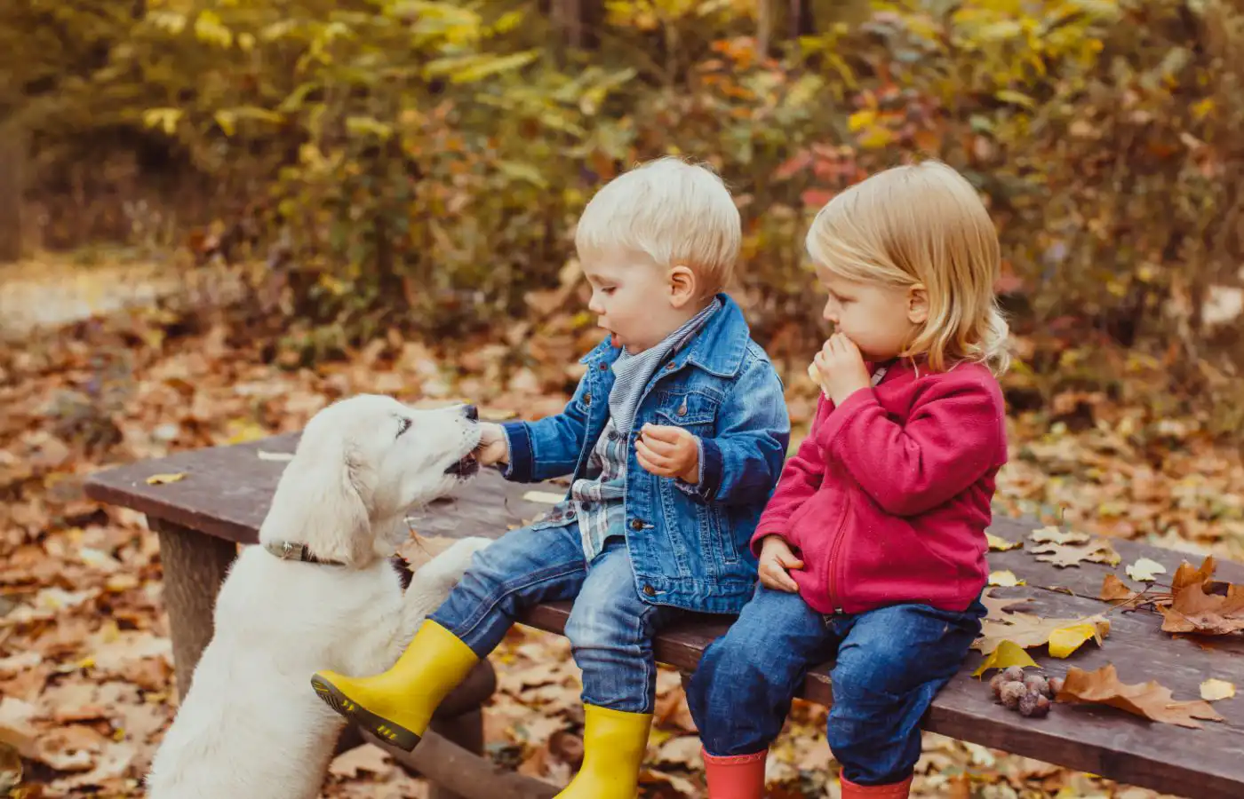 Deux jeunes enfants interagissant avec un chiot dans un parc automnal, illustrant le lien entre les enfants et un animal de compagnie adapté à la famille.