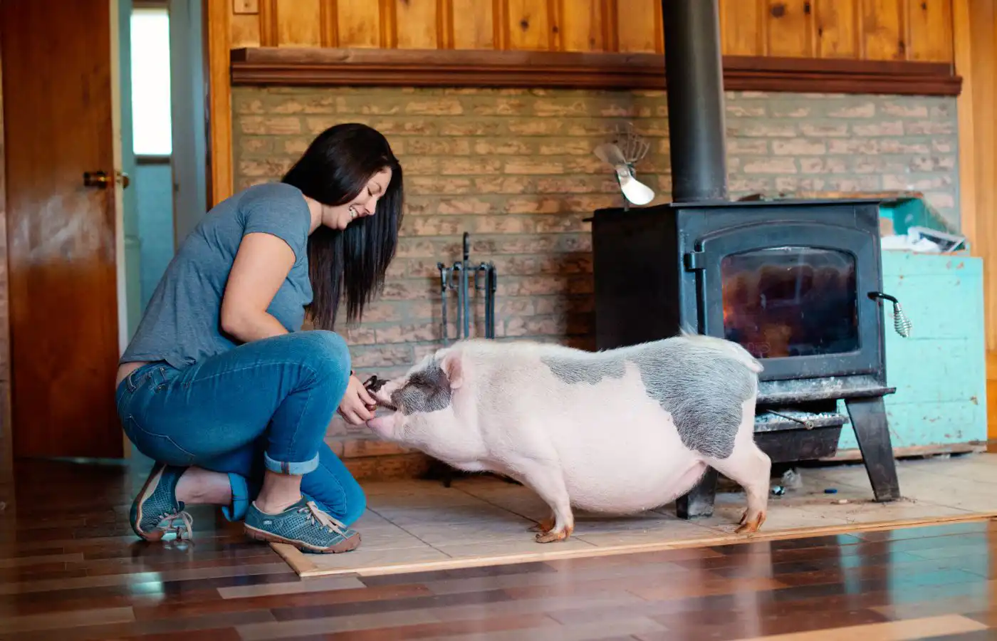 Femme interagissant avec un cochon nain dans une maison, illustrant la vie domestique avec un cochon de compagnie et les soins quotidiens.