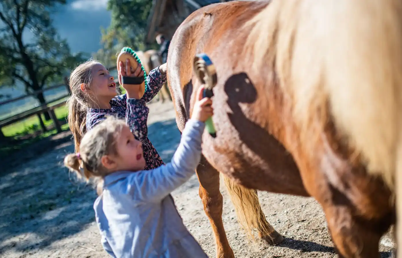 Deux enfants brossant un cheval en plein air, illustrant les soins de toilettage et le lien entre humains et chevaux pour leur bien-être.